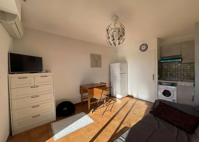 Climatise Au Lavandou Avec Parking, Terrasse Ensoleillee Pour 4 - Fr-1-308-198 *