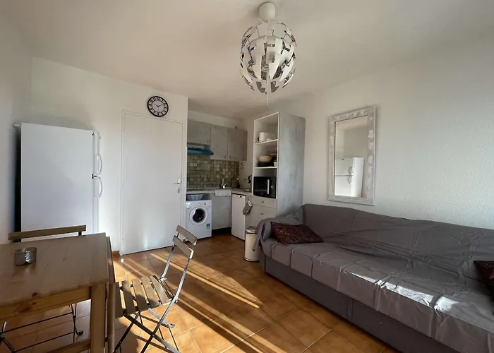 Climatise Au Lavandou Avec Parking, Terrasse Ensoleillee Pour 4 - Fr-1-308-198