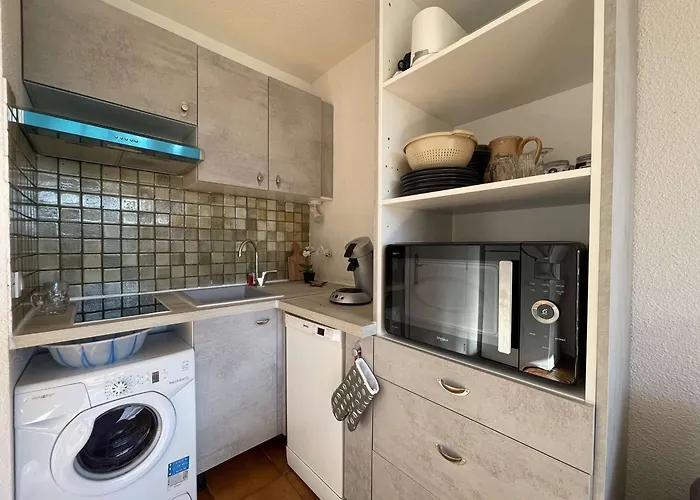 Climatise Au Lavandou Avec Parking, Terrasse Ensoleillee Pour 4 - Fr-1-308-198 *